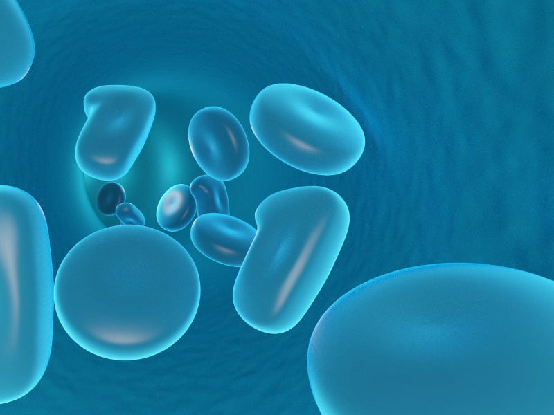 Blue Cells - Eggs Contain Choline