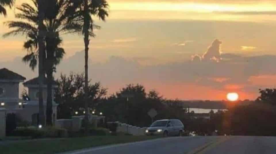 Dog Shape Cloud on Top of Sunset