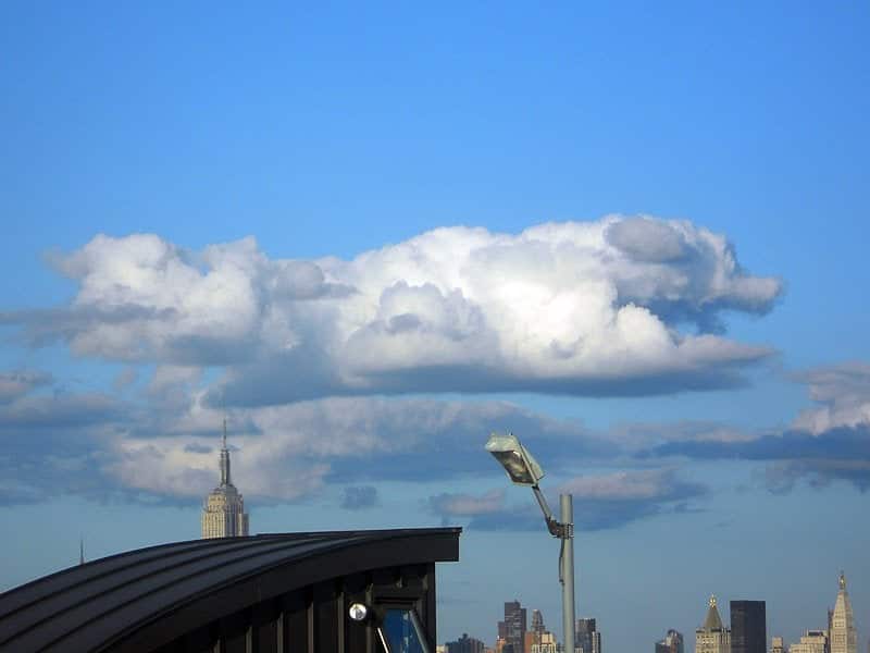 How to Cope With a Loss of a Dog - Dog Shape Cloud on Top of The Empire State Building