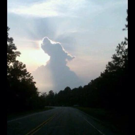 How to Cope With a Loss of a Pet - Dog Shape Cloud Looking to Heaven in Sunset